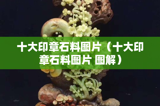 十大印章石料圖片（十大印章石料圖片 圖解）