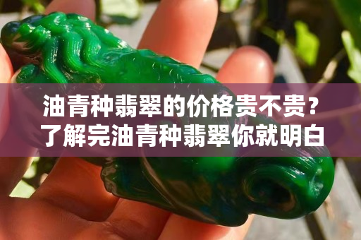 油青種翡翠的價格貴不貴？了解完油青種翡翠你就明白了