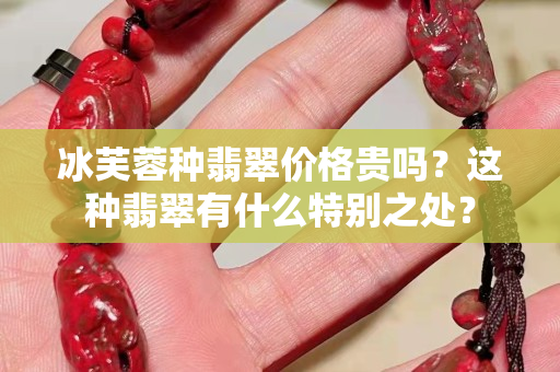 冰芙蓉種翡翠價(jià)格貴嗎？這種翡翠有什么特別之處？