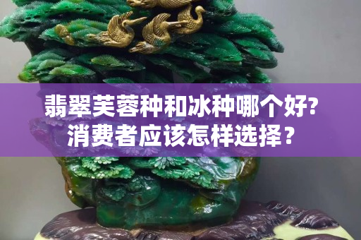 翡翠芙蓉種和冰種哪個好?消費者應該怎樣選擇？