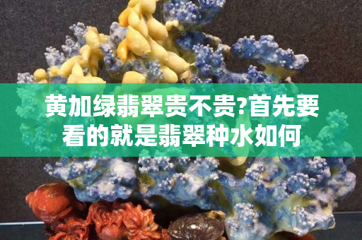 黃加綠翡翠貴不貴?首先要看的就是翡翠種水如何