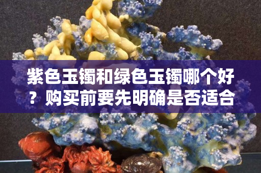 紫色玉鐲和綠色玉鐲哪個好？購買前要先明確是否適合