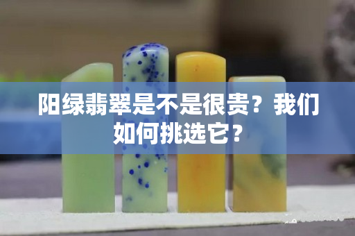 陽綠翡翠是不是很貴？我們?nèi)绾翁暨x它？