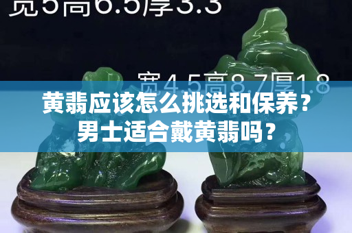 黃翡應(yīng)該怎么挑選和保養(yǎng)？男士適合戴黃翡嗎？