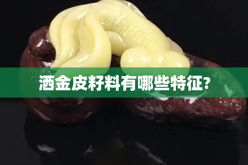 灑金皮籽料有哪些特征?