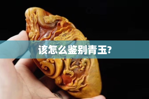 該怎么鑒別青玉?