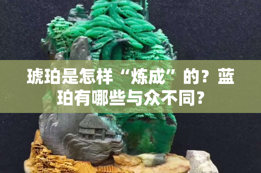 琥珀是怎樣“煉成”的？藍(lán)珀有哪些與眾不同？