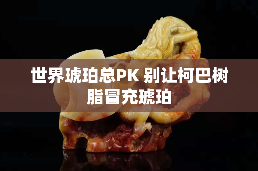 世界琥珀總PK 別讓柯巴樹脂冒充琥珀