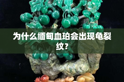 為什么緬甸血珀會(huì)出現(xiàn)龜裂紋？