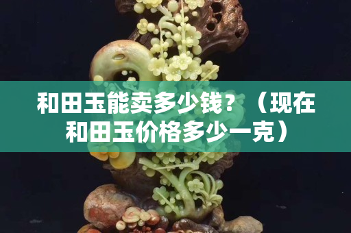 和田玉能賣多少錢？（現在和田玉價格多少一克）