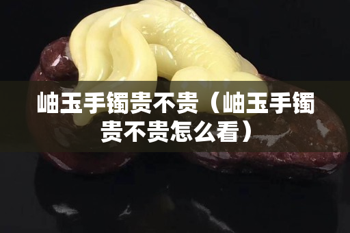 岫玉手鐲貴不貴（岫玉手鐲貴不貴怎么看）