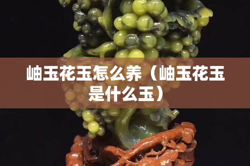 岫玉花玉怎么養(yǎng)（岫玉花玉是什么玉）