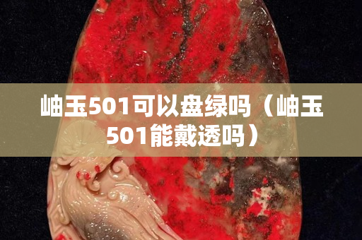 岫玉501可以盤綠嗎（岫玉501能戴透嗎）