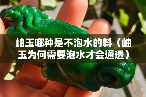 岫玉哪種是不泡水的料（岫玉為何需要泡水才會通透）