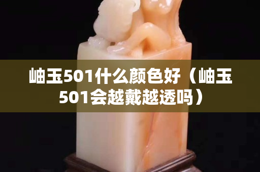 岫玉501什么顏色好（岫玉501會越戴越透嗎）