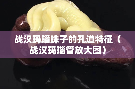 戰(zhàn)漢瑪瑙珠子的孔道特征（戰(zhàn)漢瑪瑙管放大圖）