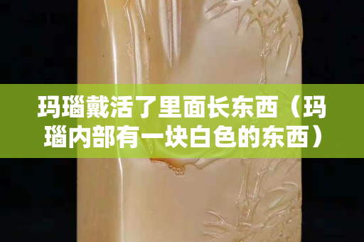 瑪瑙戴活了里面長(zhǎng)東西（瑪瑙內(nèi)部有一塊白色的東西）