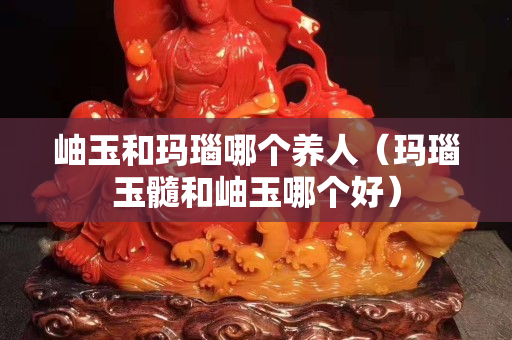 岫玉和瑪瑙哪個(gè)養(yǎng)人（瑪瑙玉髓和岫玉哪個(gè)好）