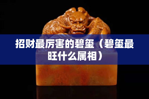 招財(cái)最厲害的碧璽（碧璽最旺什么屬相）