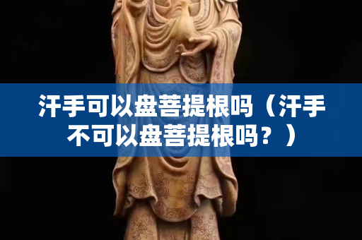 汗手可以盤菩提根嗎（汗手不可以盤菩提根嗎？）