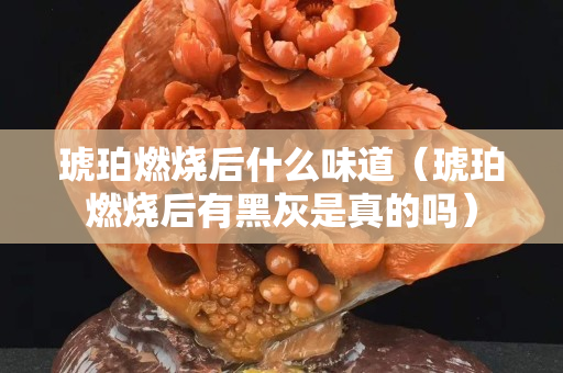 琥珀燃燒后什么味道（琥珀燃燒后有黑灰是真的嗎）