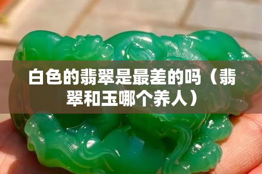 白色的翡翠是最差的嗎（翡翠和玉哪個(gè)養(yǎng)人）