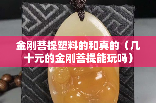 金剛菩提塑料的和真的（幾十元的金剛菩提能玩嗎）