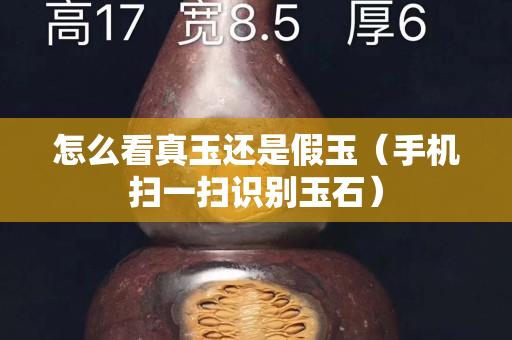 怎么看真玉還是假玉（手機掃一掃識別玉石）