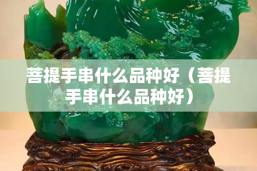 菩提手串什么品種好（菩提手串什么品種好）