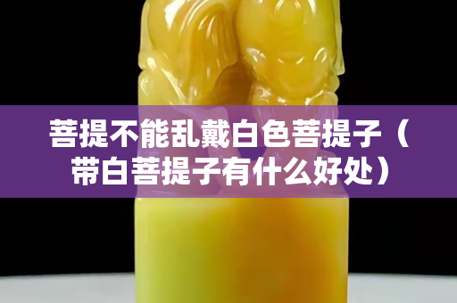 菩提不能亂戴白色菩提子（帶白菩提子有什么好處）