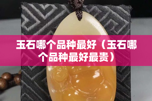 玉石哪個(gè)品種最好（玉石哪個(gè)品種最好最貴）