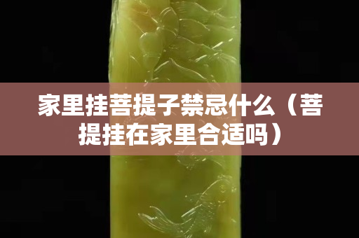 家里掛菩提子禁忌什么（菩提掛在家里合適嗎）