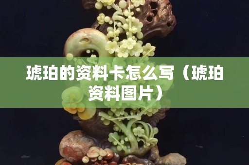 琥珀的資料卡怎么寫(xiě)（琥珀資料圖片）