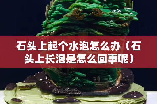 石頭上起個(gè)水泡怎么辦（石頭上長(zhǎng)泡是怎么回事呢）