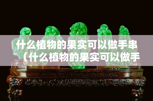 什么植物的果實可以做手串（什么植物的果實可以做手串呢）