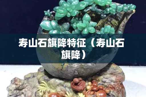 壽山石旗降特征（壽山石 旗降）