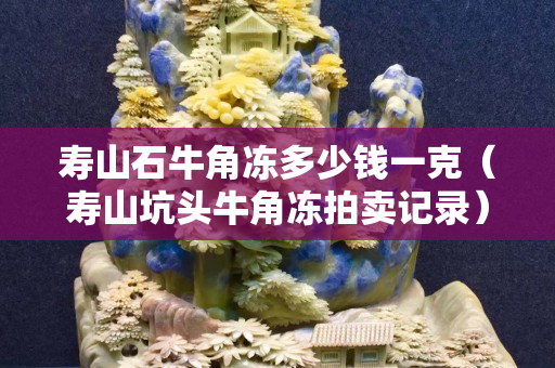 壽山石牛角凍多少錢一克（壽山坑頭牛角凍拍賣記錄）