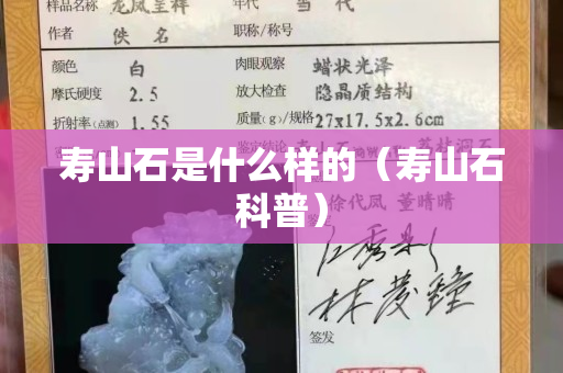 壽山石是什么樣的（壽山石科普）