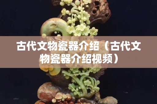 古代文物瓷器介紹（古代文物瓷器介紹視頻）