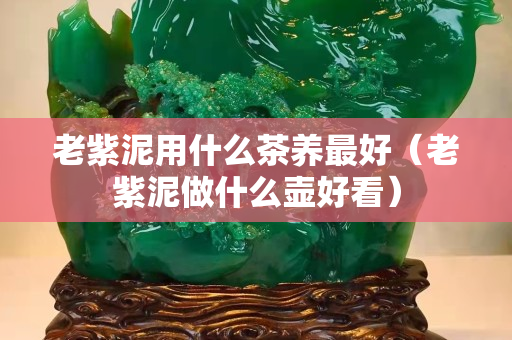 老紫泥用什么茶養(yǎng)最好（老紫泥做什么壺好看）