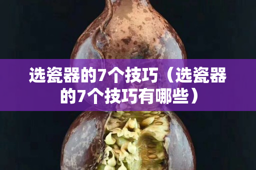 選瓷器的7個技巧（選瓷器的7個技巧有哪些）