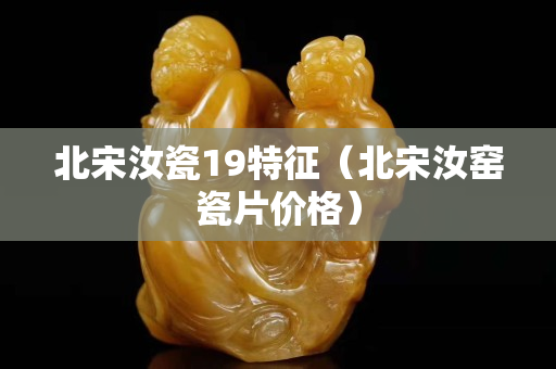 北宋汝瓷19特征（北宋汝窯瓷片價格）