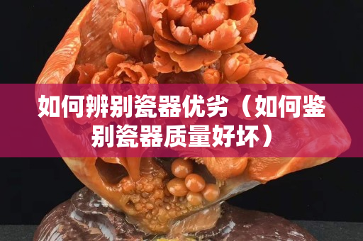 如何辨別瓷器優(yōu)劣（如何鑒別瓷器質(zhì)量好壞）