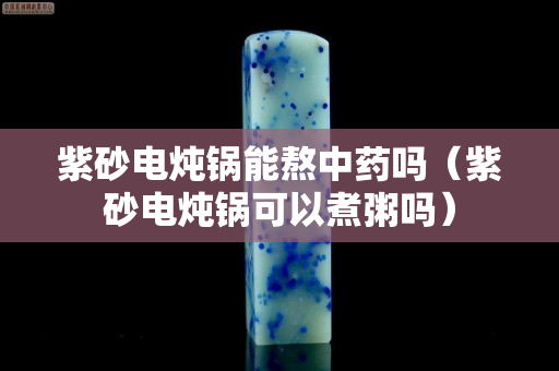 紫砂電燉鍋能熬中藥嗎（紫砂電燉鍋可以煮粥嗎）