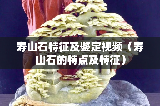 壽山石特征及鑒定視頻（壽山石的特點(diǎn)及特征）