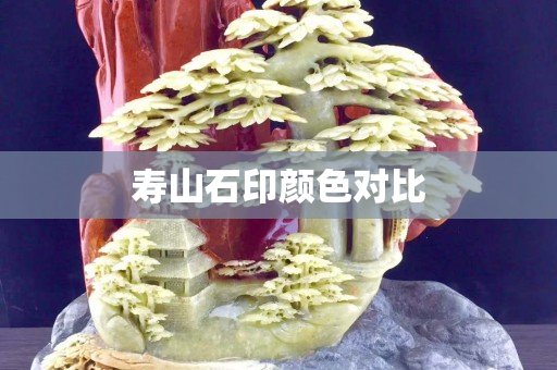 壽山石印顏色對比