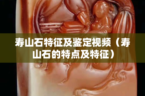 壽山石特征及鑒定視頻（壽山石的特點(diǎn)及特征）