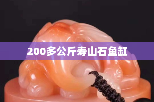 200多公斤壽山石魚缸