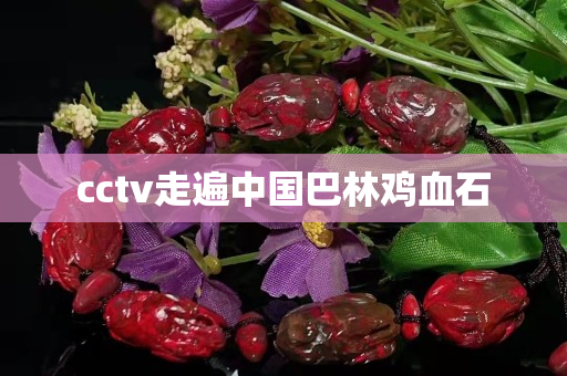 cctv走遍中國巴林雞血石