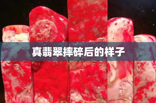 真翡翠摔碎后的樣子